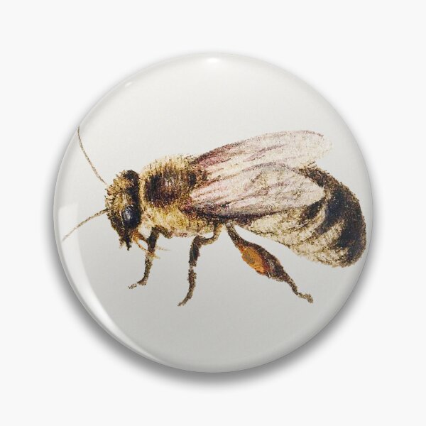 Item preview, Bee from Sheet of Studies of Nine Insects (1660–1665) by Jan van Kessel. designed and sold by AngyDesigns49.
