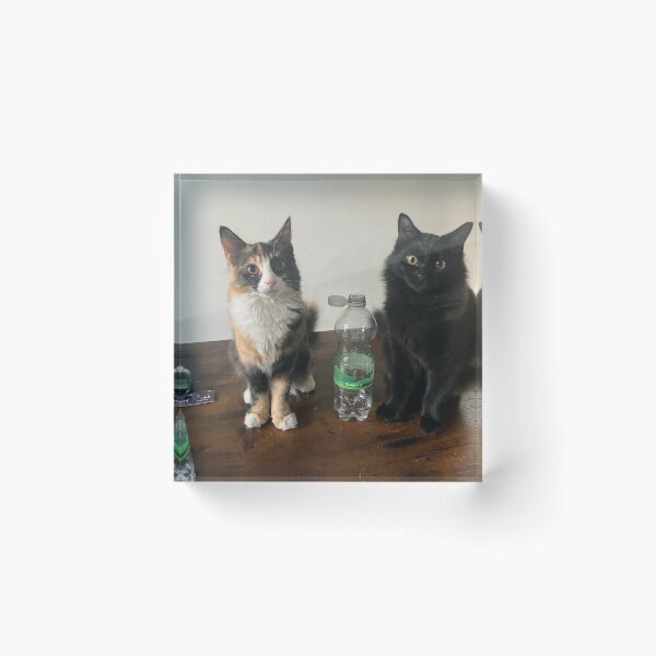 Item preview, Gabby and Olive designed and sold by leonarduk.