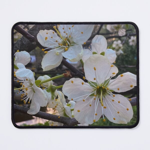 Item preview, Spring’s Delicate Whisper in Blooming Branches designed and sold by LenaRus.