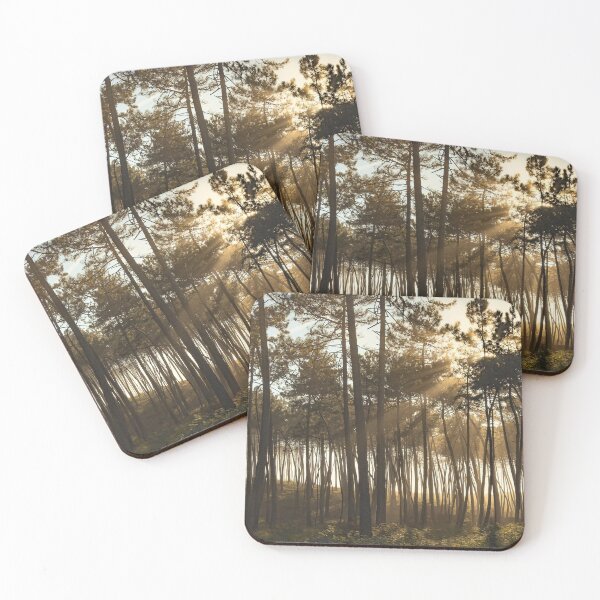 Item preview, Pine forest landscape in Maceda with sunbeams filtering through tall trees at sunrise designed and sold by homydesign.