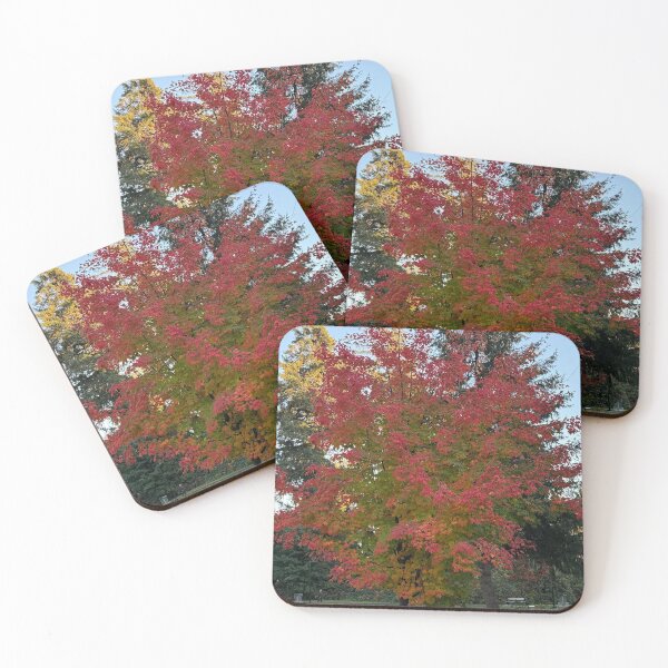 Item preview, Vibrant Fall Maple Leaves  designed and sold by veraD58.
