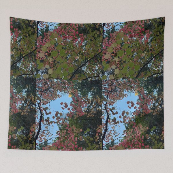 Item preview, Looking Up at Colorful Autumn Tree Canopy 	 designed and sold by veraD58.
