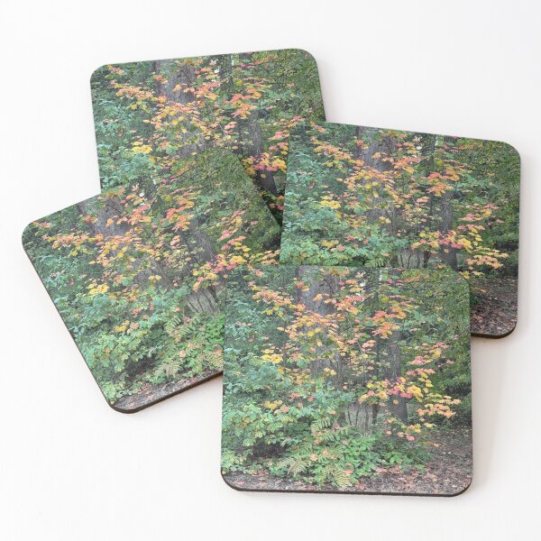 Item preview, Colorful Autumn Tree  designed and sold by veraD58.