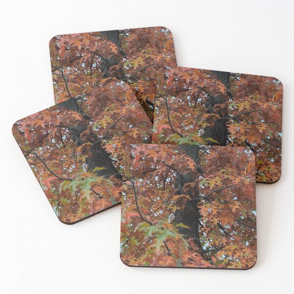 Item preview, Looking Up at Colorful Autumn Tree Canopy 	 designed and sold by veraD58.