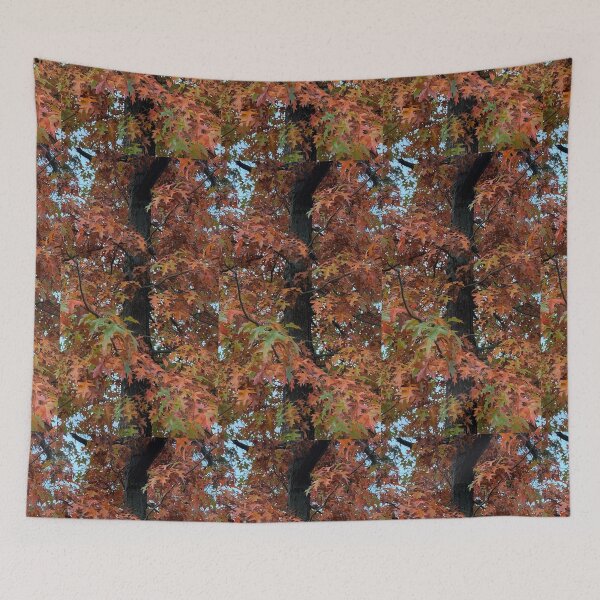 Item preview, Looking Up at Colorful Autumn Tree Canopy 	 designed and sold by veraD58.