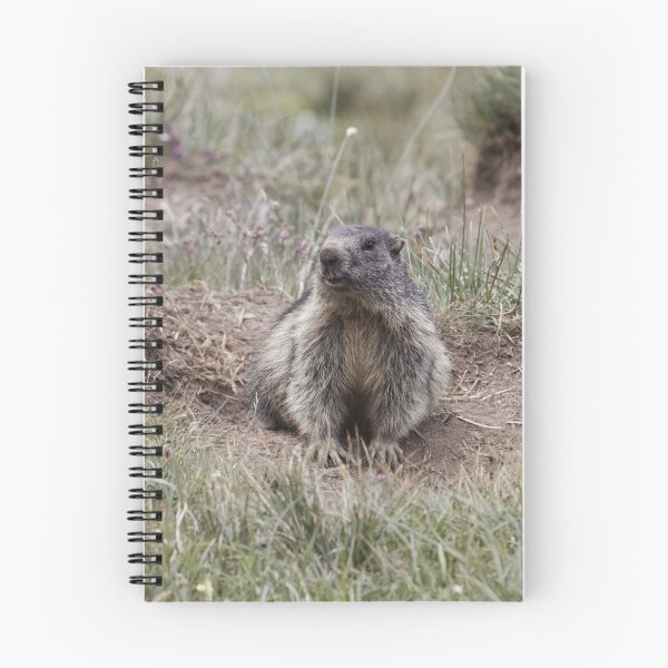 Item preview, Alpine marmot (Marmota marmota) designed and sold by Zosimus.