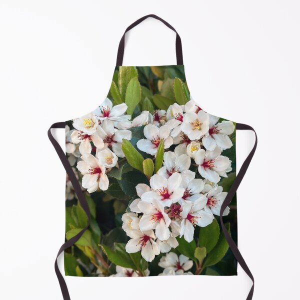 Item preview, Delicate White Indian Hawthorn Flowers with Burgundy Centres designed and sold by Be Captured by Brittany Emma.