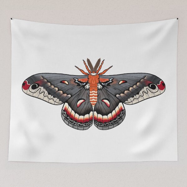 Item preview, Hyalophora cecropia (Robin Moth) 1 designed and sold by Talaris Art.