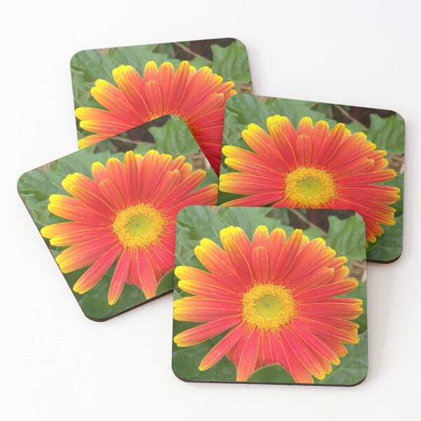 Item preview, Fiery Gerbera Daisy designed and sold by Cardsharkbuddy.