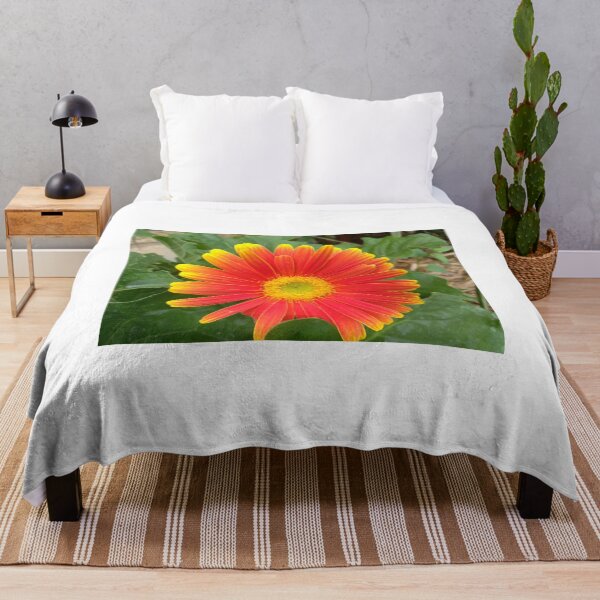 Item preview, Fiery Gerbera Daisy designed and sold by Cardsharkbuddy.