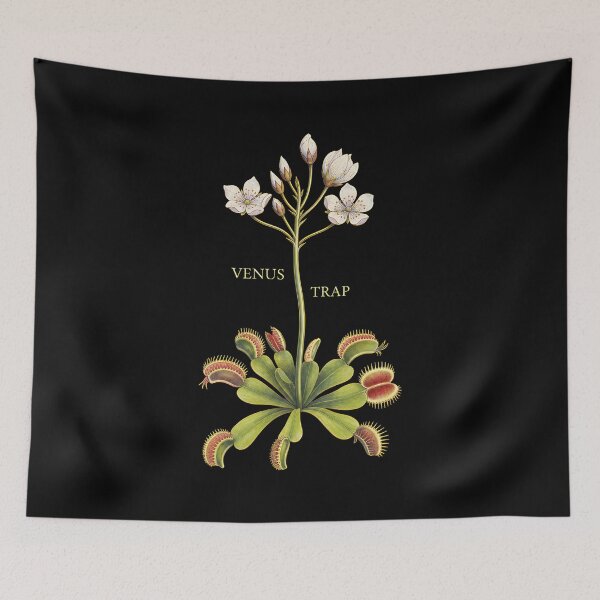 Item preview, Venusss Flytrapss Botanicals designed and sold by RubenCreative.