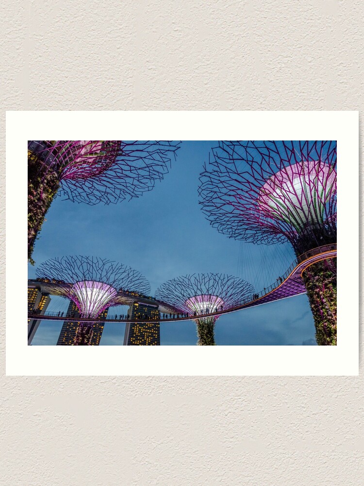 Supertree Grove Gardens By The Bay Singapore Art Print By Houseofgolden Redbubble