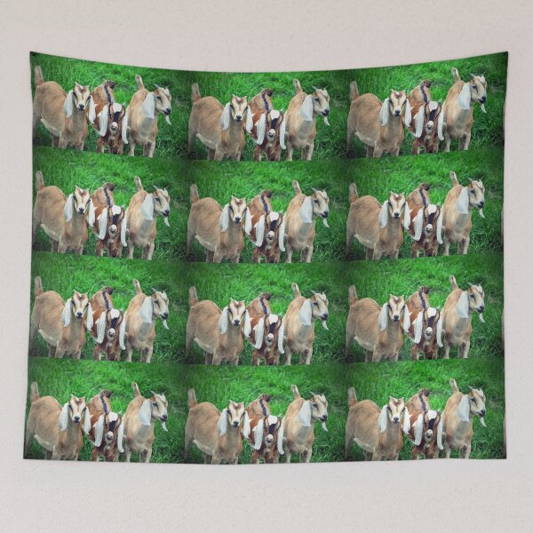 Item preview, Three Adorable Goats on Grass designed and sold by Savannah Gibbs.