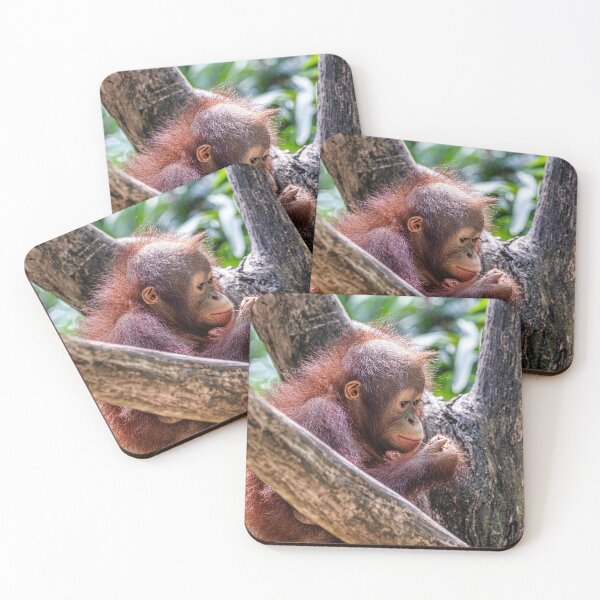 Item preview, Orang Utan 14 designed and sold by photograham.