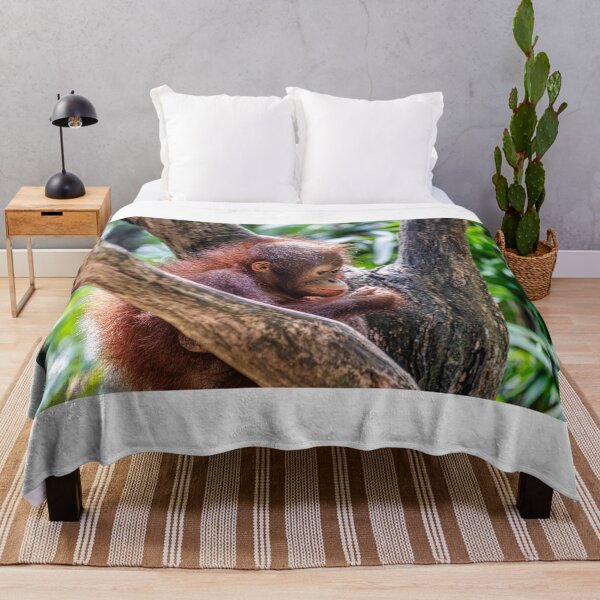 Item preview, Orang Utan 14 designed and sold by photograham.