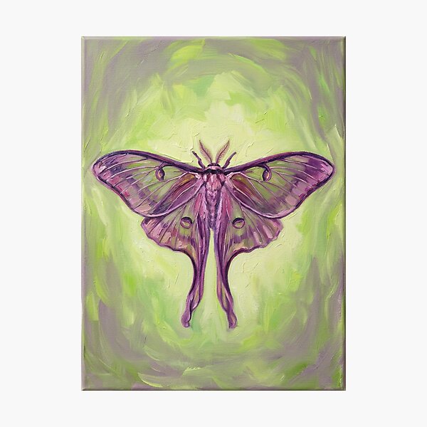 Item preview, Purple Luna Moth Oil Painting – Aesthetic Cottagecore Insect Art designed and sold by R-market.