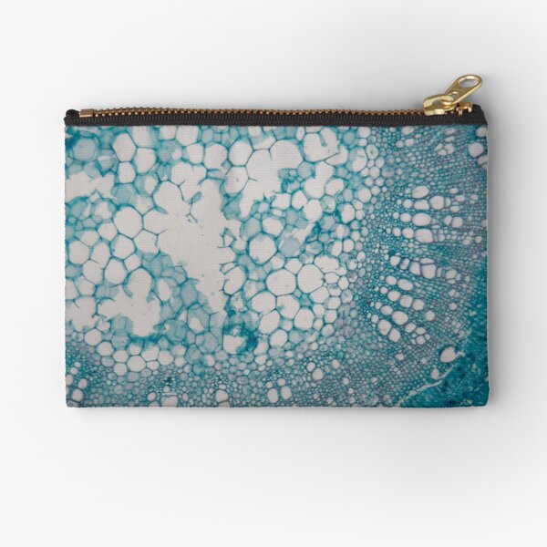 Stem cells of a lentil plant under the microscope. Zipper Pouch