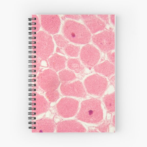 Item preview, Root bacteria nodules under the microscope. designed and sold by Zosimus.