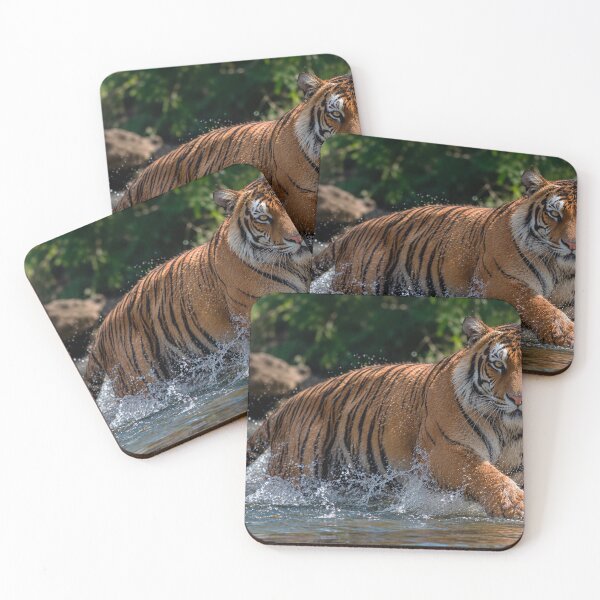 Item preview, Majestic Bengal Tiger –Photographic Print  designed and sold by REVOLVE ART 67.