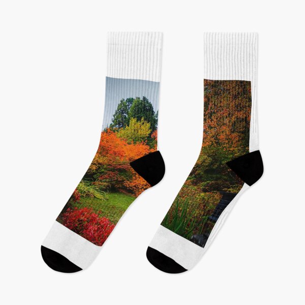 Item preview, The Colours of Autumn  designed and sold by D-GaP.