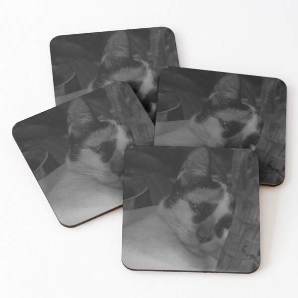 Item preview, B&W - Sleepy Kitty designed and sold by ROSE ANN BANILAR.