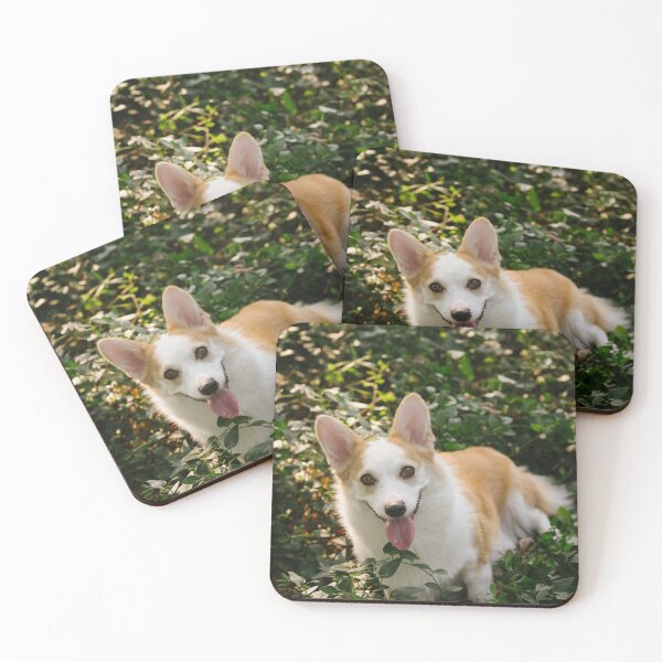 Item preview, Happy Corgi Dog Standing On Green Foliage In Park    designed and sold by lakelatisha.
