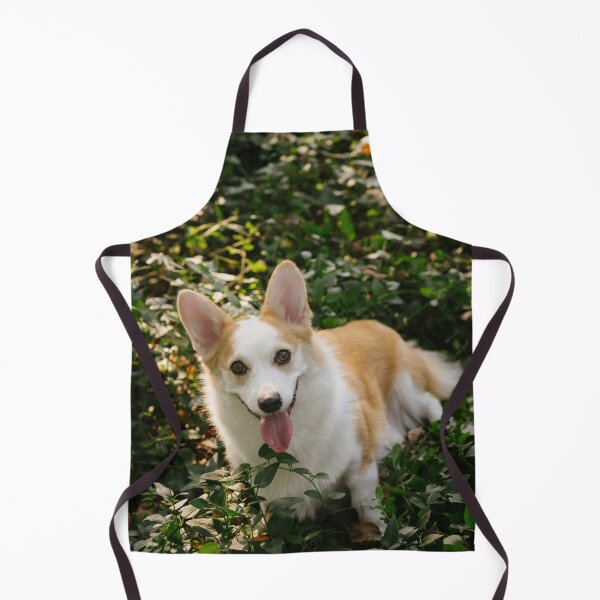 Item preview, Happy Corgi Dog Standing On Green Foliage In Park designed and sold by lakelatisha.