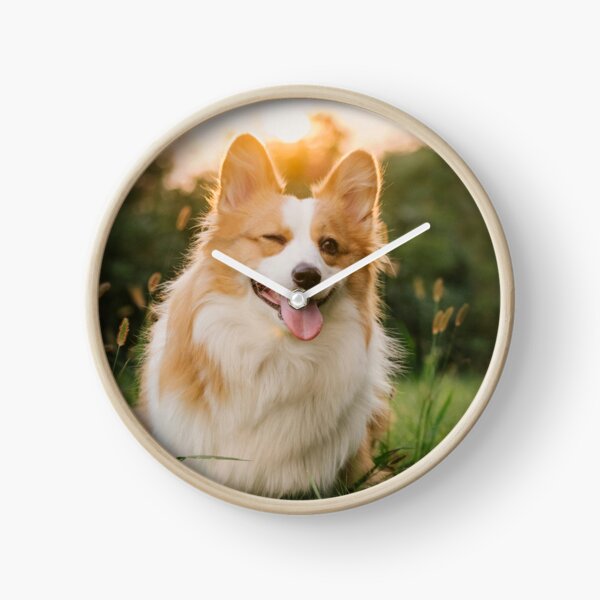 Item preview, Fluffy Corgi Dog Winking On Lawn At Sunset    designed and sold by lakelatisha.