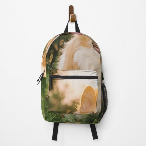 Item preview, Fluffy Corgi Dog Winking On Lawn At Sunset designed and sold by lakelatisha.