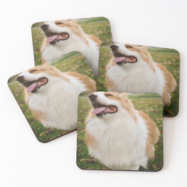 Item preview, Fluffy Corgi Smiling With Eyes Closed In Sunset Park    designed and sold by lakelatisha.