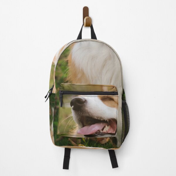 Item preview, Fluffy Corgi Smiling With Eyes Closed In Sunset Park designed and sold by lakelatisha.