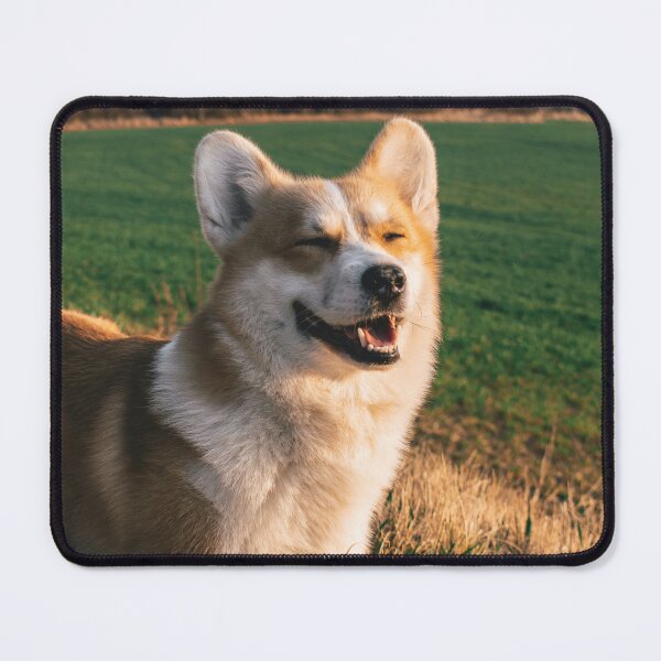 Item preview, Corgi Squinting Happy In Sunlit Countryside Field designed and sold by lakelatisha.