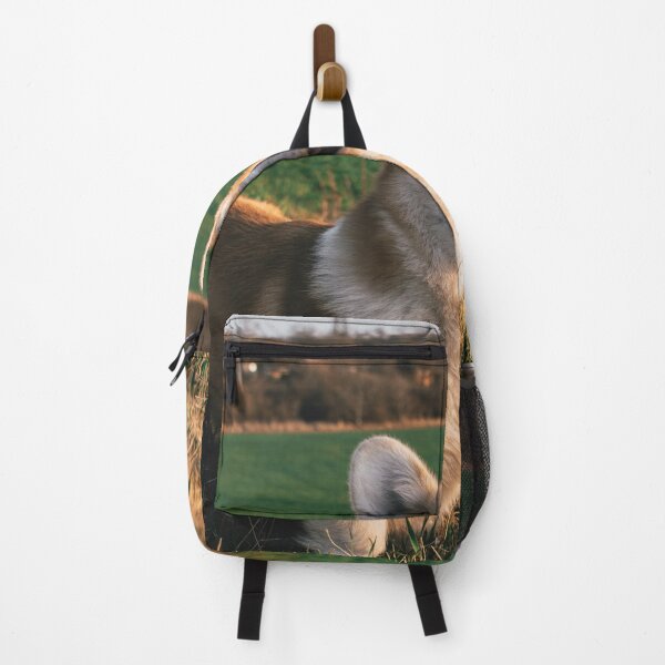 Item preview, Corgi Squinting Happy In Sunlit Countryside Field designed and sold by lakelatisha.
