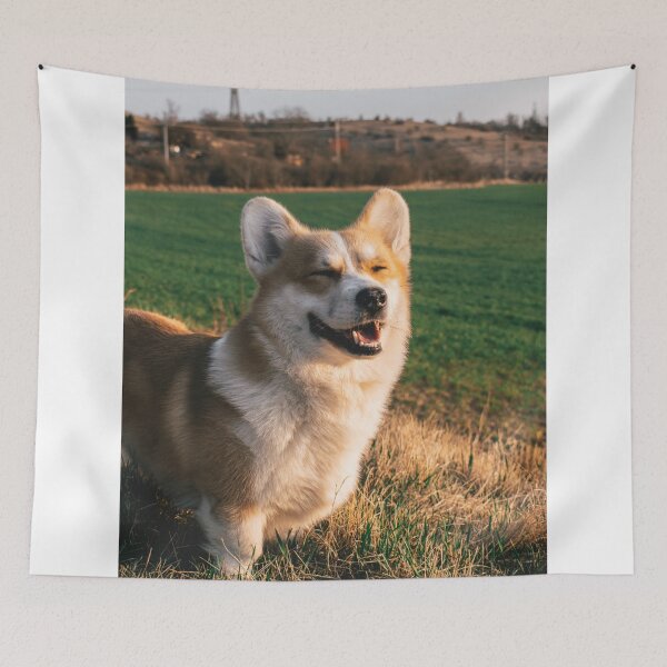 Item preview, Corgi Squinting Happy In Sunlit Countryside Field designed and sold by lakelatisha.
