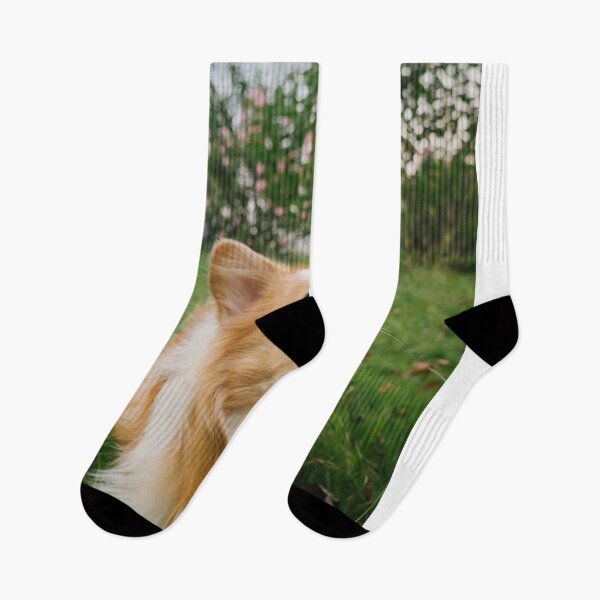 Item preview, Smiling Corgi Dog Standing On Green Lawn Outdoor designed and sold by lakelatisha.