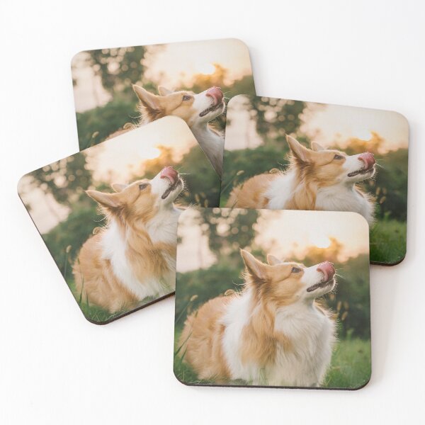 Item preview, Fluffy Corgi Dog Licking Its Nose In Golden Sunset Light designed and sold by lakelatisha.