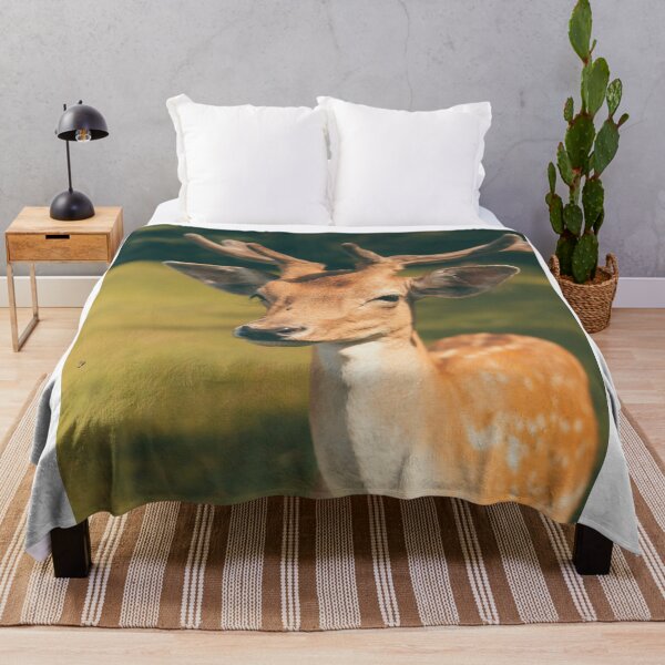 Item preview, Close Up Portrait Of Fallow Deer Buck In Velvet Antlers designed and sold by swhittington.