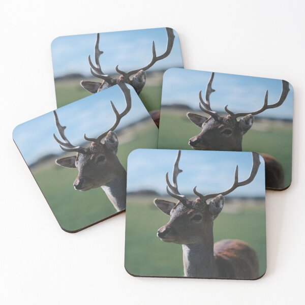 Item preview, Fallow Deer Stag Standing In Open Field Under Blue Sky designed and sold by swhittington.