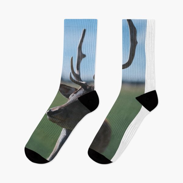 Item preview, Fallow Deer Stag Standing In Open Field Under Blue Sky designed and sold by swhittington.