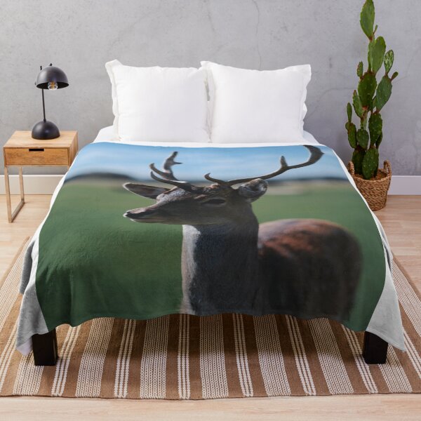 Item preview, Fallow Deer Stag Standing In Open Field Under Blue Sky designed and sold by swhittington.