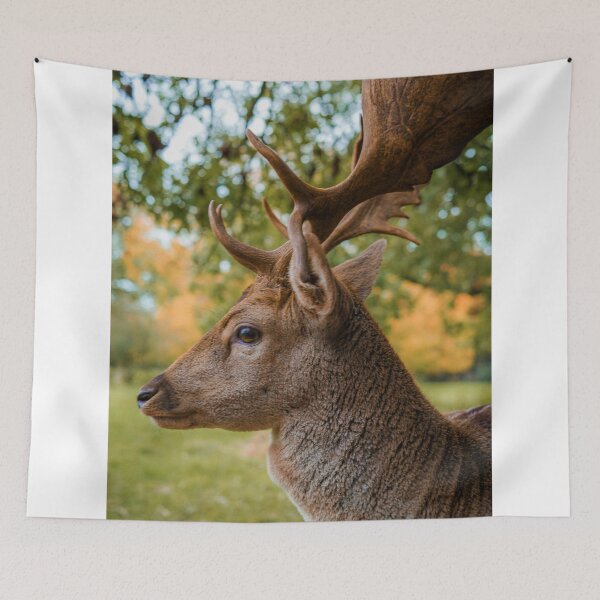 Item preview, Side Profile Of Fallow Deer Buck In Autumn Forest Park designed and sold by swhittington.