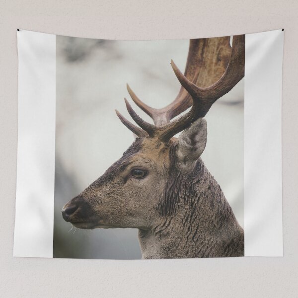 Item preview, Close Up Side Profile Of Red Deer Stag Head designed and sold by swhittington.