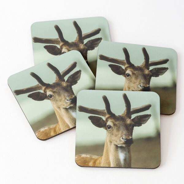 Item preview, Frontal Portrait Of Young Fallow Deer In Velvet Antlers designed and sold by swhittington.