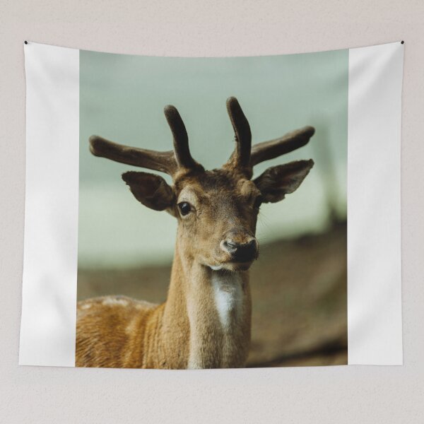 Item preview, Frontal Portrait Of Young Fallow Deer In Velvet Antlers designed and sold by swhittington.