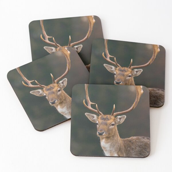 Item preview, Portrait Of Fallow Deer Buck With Curved Palmate Antlers designed and sold by swhittington.