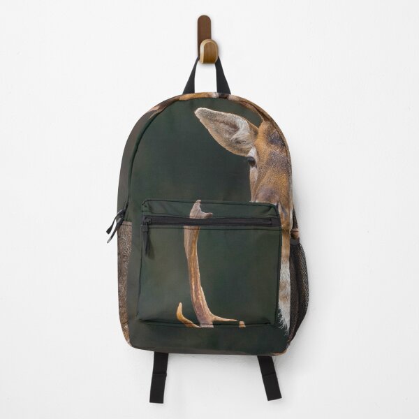 Item preview, Portrait Of Fallow Deer Buck With Curved Palmate Antlers designed and sold by swhittington.