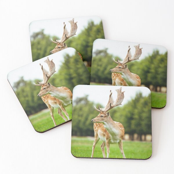 Item preview, Full Body Shot Of Fallow Deer Standing On Green Lawn designed and sold by swhittington.