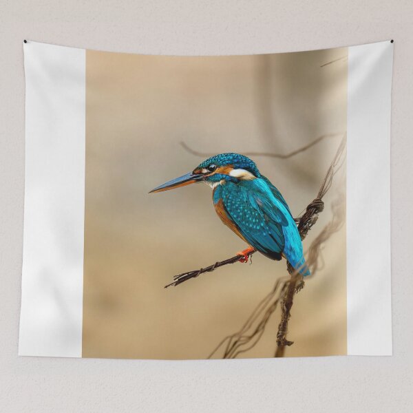Item preview, Common Kingfisher Perched On Wire Against Blurred Background designed and sold by Daviean.