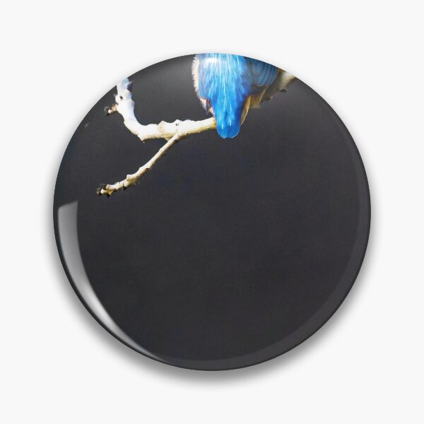 Item preview, Common Kingfisher Sitting On Bare Branch Against Dark Background designed and sold by Daviean.