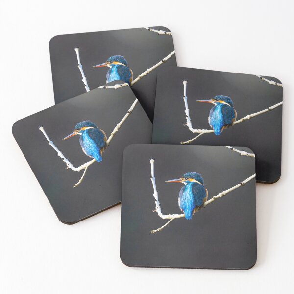 Item preview, Common Kingfisher Sitting On Bare Branch Against Dark Background designed and sold by Daviean.